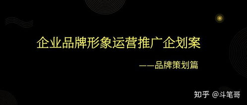 企业品牌形象运营推广企划案 品牌策划篇